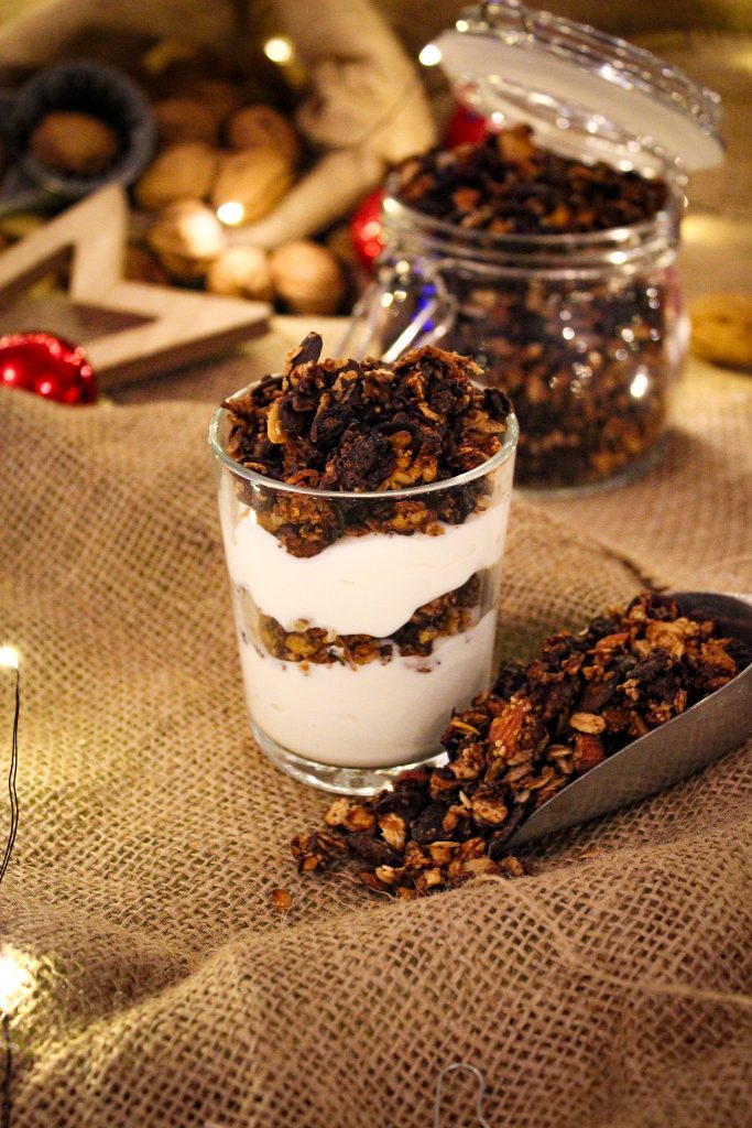 Schokoladen-Cranberry-Granola